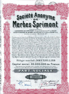SOCIÉTÉ ANONYME De MERBES-SPRIMONT - Mijnen