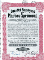 SOCIÉTÉ ANONYME De MERBES-SPRIMONT - Mines