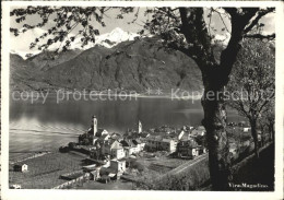 12603610 Vira Magadino Panorama Lago Maggiore Alpen Vira Magadino - Altri & Non Classificati