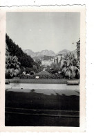 Ref 1 - Photo : Jardin Et Montagne , Menton , Alpes Maritimes - France . - Europe