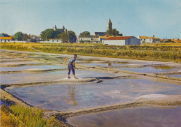 85) NOIRMOUTIER En L'Ile - Le Paludier Au Travail (1974) - Ile De Noirmoutier