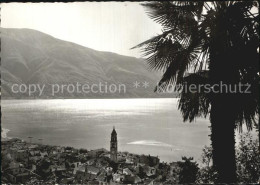 12596334 Ascona Lago Maggiore Panorama Ascona - Altri & Non Classificati