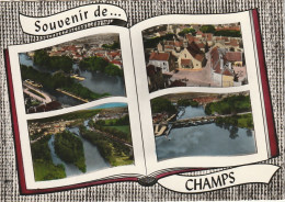 LE 20-(89) SOUVENIR DE CHAMPS - CARTE COULEURS MULTIVUES - 2 SCANS  - Champs Sur Yonne