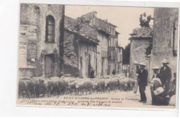 SAINT ETIENNE LES ORGUES - Avenue De Forcalquier - Traversée D'un Troupeau De Moutons - Très Bon état - Other & Unclassified