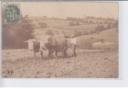 LOT Et GARONNE: Boeuf Au Labour, Agriculture - Très Bon état - Autres & Non Classés