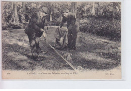 LANDES: Chasse Aux Palombes, Un Coup De Filet - Très Bon état - Andere & Zonder Classificatie