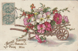 HO Nw (3) " PETITES FLEURS PARLEZ POUR MOI " - CARTE FANTAISIE GAUFREE - BROUETTE DE FLEURS -2 SCANS - Other & Unclassified