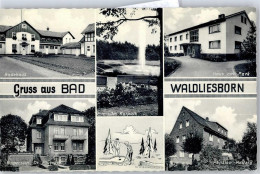51530206 - Bad Waldliesborn - Lippstadt