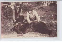 HAUTES-PYRENEES: Une Belle Prise, Ours Des Pyrénées, Montreurs D'ours - Très Bon état - Other & Unclassified