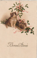 HO Nw (5) " BONNE ANNEE  "- COUPLE DE CHATONS AVEC HOUX ET GUI  - 2 SCANS - New Year