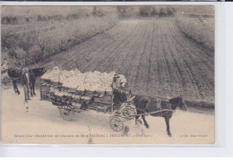 FREGIMONT: Grand Char D'expedition De Chasselas De Mme Sauriac - Très Bon état - Sonstige & Ohne Zuordnung