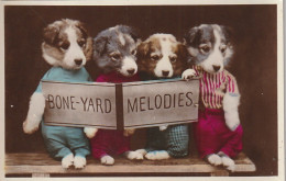 HO Nw (5) BONE YARD MELODIES - CHORALE DE CHIOTS HUMANISES - 2 SCANS - Animaux Habillés