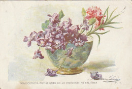 HO Nw (6) CARTE PUBLICITAIRE PHOSPHATINE FALIERES - BOL AVEC VIOLETTES ET OEILLET - ILLUSTRATEUR M.  LEMAIRE - 2 SCANS - Werbepostkarten