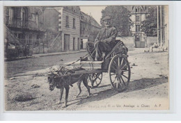 VENDOME: Un Attelage De Chien, Voiture à Chien - Très Bon état - Vendome