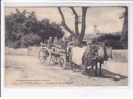 SAINT-VIVIEN: Attelage Et Char Médocain - Très Bon état - Other & Unclassified