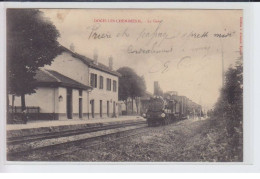 DOCELLES-CHENIMENIL: La Gare Et Le Train - Très Bon état - Autres & Non Classés