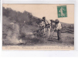 BORMES: Flambage Du Liège, Chemins De Fer Du Sud De La France Ligne Du Littoral - Très Bon état - Bormes-les-Mimosas