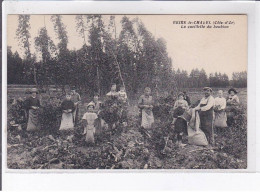 BEIRE-le-CHATEL: La Cueillette Du Houblon - Très Bon état - Saulieu