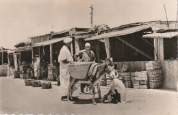 HO Nw 14- COLOMB BECHAR ( ALGERIE ) - UN COIN DU MARCHE - ANIMATION - MARCHANDS , ETAL , ANE - Bechar (Colomb Béchar)