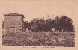 JA 29-(01) PREVENTORIUM DE ROMANS FERRARI  - LA FERME -  VACHES AU PATURAGE - Zonder Classificatie