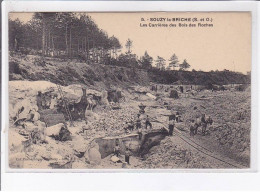 SOUZY-la-BRICHE: Les Carrières Des Bois Des Roches - Très Bon état - Autres & Non Classés