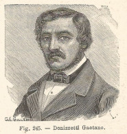 Gaetano Donizzetti - Incisione Antica Del 1925 - Engraving - Estampas & Grabados