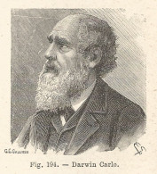 Charles Robert Darwin - Incisione Antica Del 1925 - Engraving - Prints & Engravings