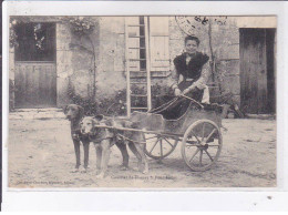 THENAY: Courrier De Thenay, Pont Levoy, Voiture à Chien - Très Bon état - Autres & Non Classés