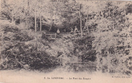 KO 29-(07) LA LOUVESC - LE PONT DES SOUPIRS - ANIMATION - La Louvesc