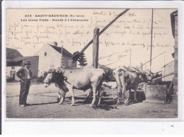 SAINT-SAUVEUR: Les Vieux Puits Boeufs A  L'abreuvoir - Très Bon état - Saint-Sauveur