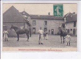 NOGENT-sur-VERNISSON: Haras Du Buisson - Très Bon état - Other & Unclassified