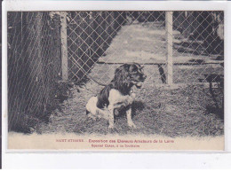 SAINT-ETIENNE: Exposition Des éleveurs Amateurs De La Loire Spaniel Coker à Un Sociétaire - Très Bon état - Saint Etienne