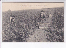 YERRES: Champs De Rosiers, La Cueillette Des Roses - Très Bon état - Yerres