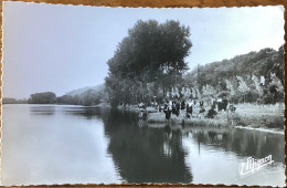 Villenavotte - Bord De L’Yonne (pêcheurs) - Sonstige & Ohne Zuordnung