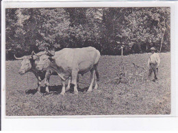 GRIGON : Neurdein, (labour, Agriculture-école)- Très Bon état - Other & Unclassified