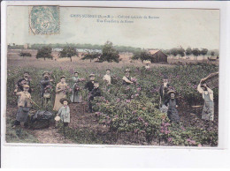 GRISY-SUISNES: Culture Spéciale De Rosiers, Une Cueillette De Roses - Très Bon état - Autres & Non Classés