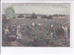 GRISY-SUISNES: Culture Spéciale De Rosiers, Une Cueillette De Roses - Très Bon état - Autres & Non Classés