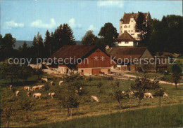 12589290 Stettfurt Schloss Sonnenberg Bauernhof Viehweide Kuehe Stettfurt - Autres & Non Classés