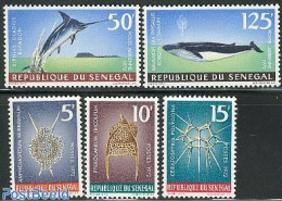 Senegal 1972 Marine Life 5v, Mint NH, Nature - Fish - Sea Mammals - Shells & Crustaceans - Pesci