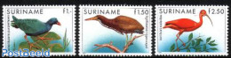 Suriname, Republic 1985 Definitives, Birds 3v, Mint NH, Nature - Birds - Surinam