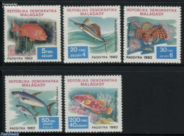 Madagascar 1982 Fish 5v, Mint NH, Nature - Fish - Vissen