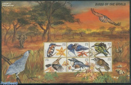 Nevis 1999 Birds 6v M/s, Mint NH, Nature - Birds - Kingfishers - St.Kitts-et-Nevis ( 1983-...)