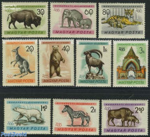 Hungary 1961 Budapest Zoo 10v, Mint NH, Nature - Animals (others & Mixed) - Bears - Cat Family - Elephants - Zebra - Ungebraucht