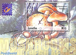 Lesotho 2001 Mushrooms S/s, Mint NH, Nature - Insects - Mushrooms - Hongos