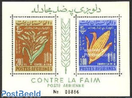Afghanistan 1963 Freedom From Hunger S/s, Mint NH, Health - Nature - Freedom From Hunger 1963 - Flowers & Plants - Contra El Hambre
