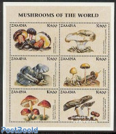 Zambia 1998 Mushrooms 6v M/s, Mint NH, Nature - Mushrooms - Funghi