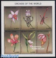 Sierra Leone 1997 Orchids 6v M/s, Mint NH, Nature - Flowers & Plants - Orchids - Sonstige & Ohne Zuordnung