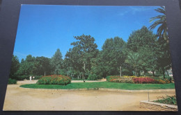 Saint-Laurent-du-Var - Le Parc Layet - Création S.L.P., Photos C. Robin, Imprimerie BAUD - Grasse
