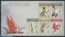 New Zealand 2014 Native Seaweeds 5v M/s, Mint NH, Nature - Flowers & Plants - Nuovi