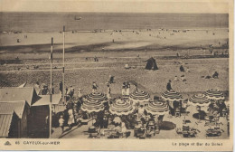 0-80182 01 11 - CAYEUX SUR MER - LA PLAGE ET BAR DU SOLEIL - Cayeux Sur Mer